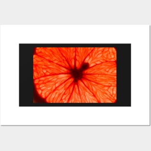 Red Abstract Fruit Posters and Art